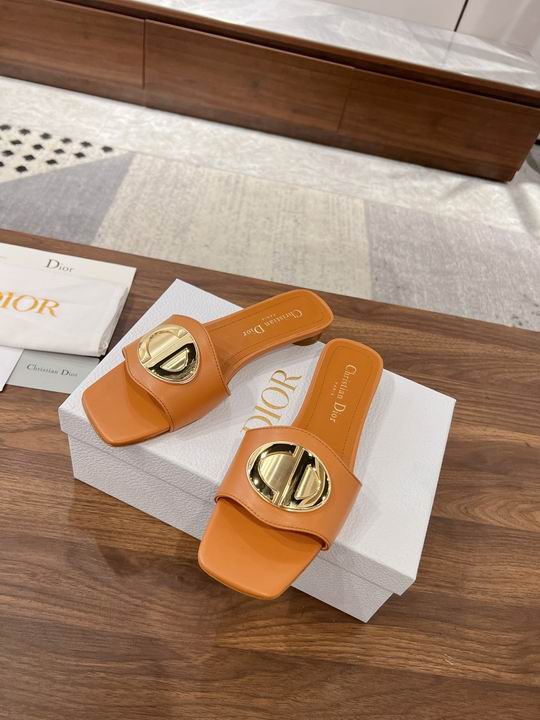 Dior Slippers Wmns ID:20250529-284
